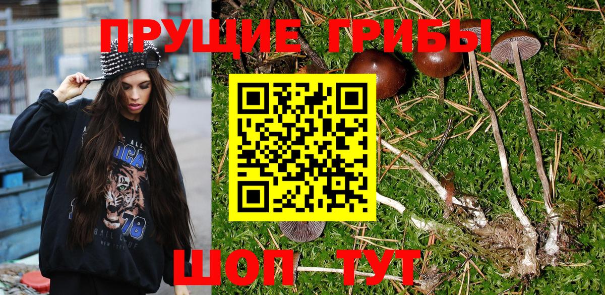 Галлюциногенные грибы MAGIC MUSHROOMS Мирный